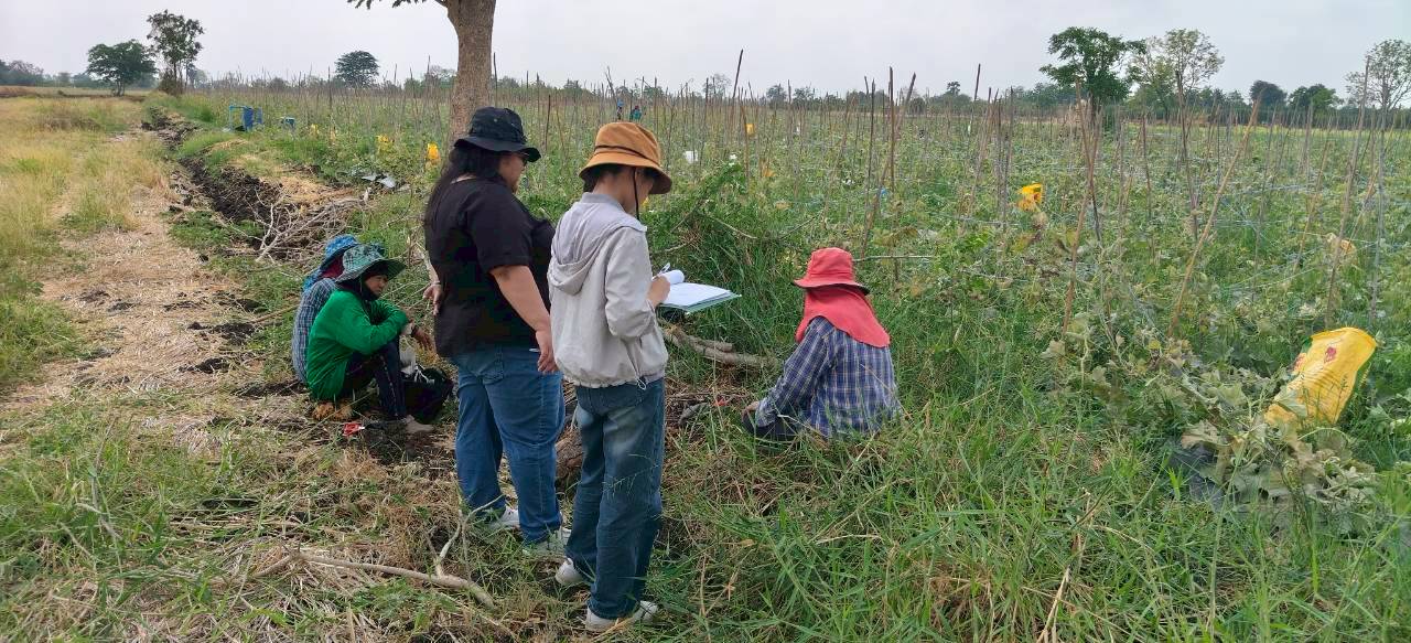 title - ศรม. ลงพื้นที่ตรวจประเมินเพื่อติดตามในเขตปฏิรูปที่ดินจังหวัดนครสวรรค์